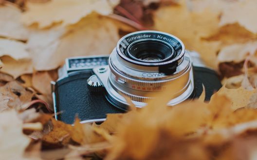 Обои на рабочий стол Фотоаппарат на осенней листве, by fotografierende