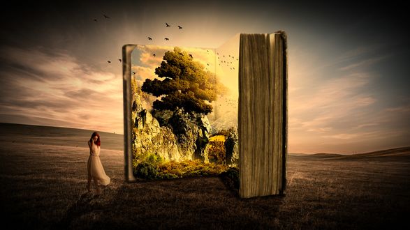 Обои на рабочий стол Девушка в белом платье стоит в поле возле книги природы, by Stine86Engel