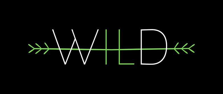 Обои на рабочий стол Слово WILD (Дикий) на черном фоне перечеркнутое линией похожей на ветку / Автор: Saint Hamster