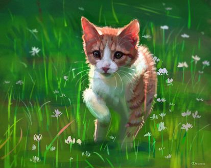 Обои на рабочий стол Бело-рыжий котенок на траве, by Meorow