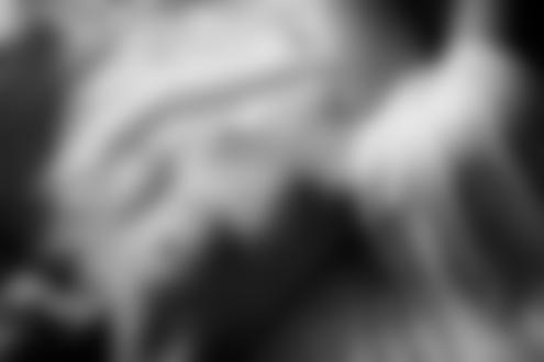 Обои на рабочий стол Модель Жанна на постели, by Sacha Leyendecker