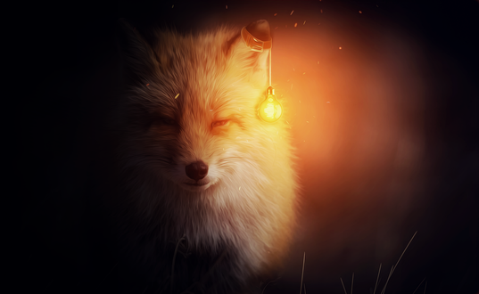 Обои на рабочий стол Лиса с лампочкой на ухе, by 0l-Fox-l0