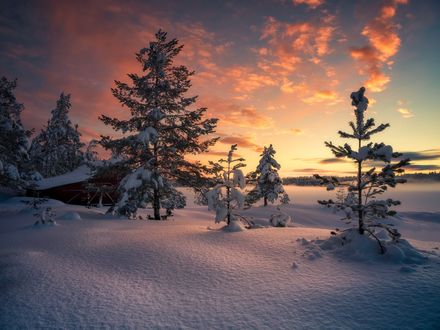 Обои на рабочий стол Зима на Ringerike, Norway / Рингерике в Норвегии. Фотограф Ole Henrik Skjelstad