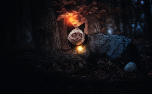 Обои на рабочий стол Лиса в лесу, by 0l-Fox-l0