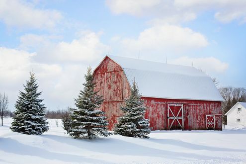 Обои на рабочий стол Ели в снегу на фоне домика с заснеженной крышей, неба с облаками, by JillWellington