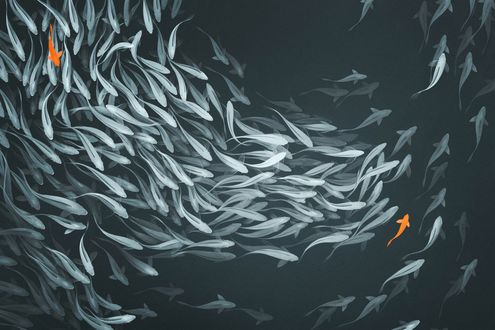 Обои на рабочий стол Рыбы в пруду, by GaudiBuendia