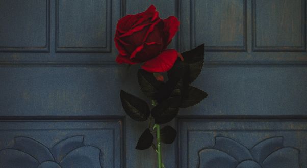 Обои на рабочий стол Красная роза на фоне двери, by Loverna Journey