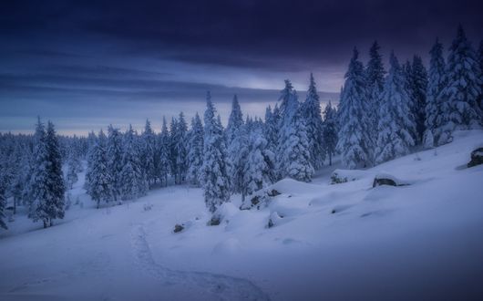 Обои на рабочий стол Зима на Южном Урале, Таганай. Фотограф Владимир Ляпин