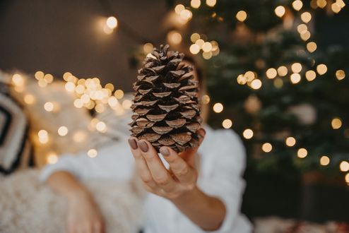 Обои на рабочий стол В руке девушки шишка, by Anita Austvika