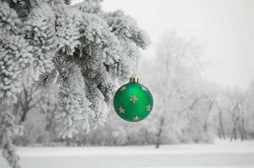 Обои на рабочий стол Новогодний шар весит на елке в снегу, фотограф Kenny