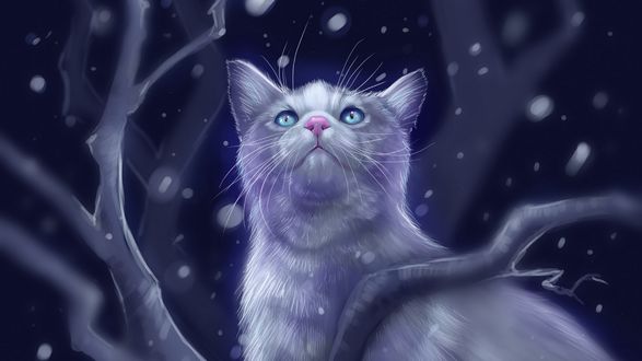 Обои на рабочий стол Кошка смотрит на падающие снежинки, by Nelly Gubina