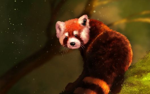 Обои на рабочий стол Панда оглядывается, by Valentyna Petyurenko