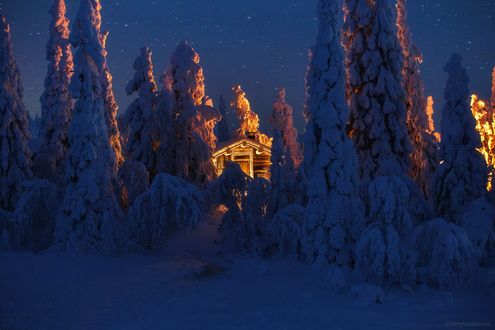 Обои на рабочий стол Домик в зимнем лесу, by Andrew Bazanov