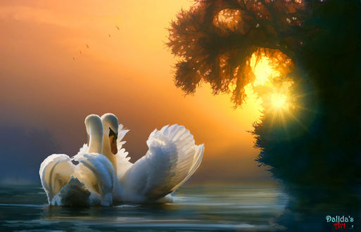 Обои на рабочий стол Лебеди на воде, by Dalidas-Art