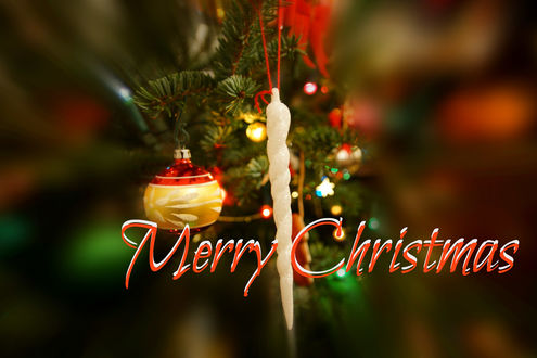 Обои на рабочий стол Веточка елки с игрушками, (Merry Christmas / с рождеством)