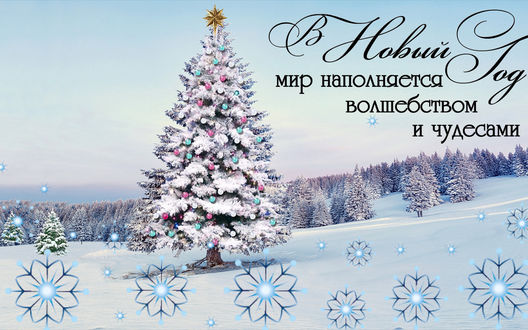 Обои на рабочий стол Новогодняя елка на фоне природы, (В новый год мир наполняется волшебством и чудесами)