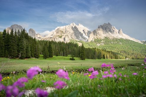 Обои на рабочий стол Лес на фоне цветов, гор и неба с облаками, by Sven Lachmann