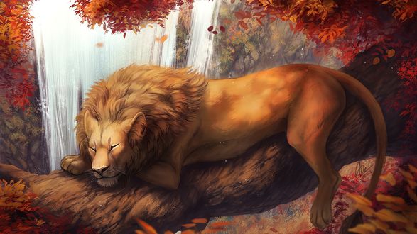 Обои на рабочий стол Лев спит на стволе дерева, by Aurru