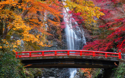 Обои на рабочий стол Красный мостик на фоне водопада в осеннем парке Meiji no Mori Mino, Kyoto / Киото, Japan / Япония