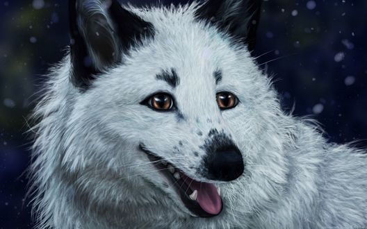 Обои на рабочий стол Белая лиса от SvPolarFox