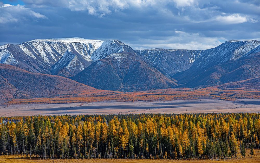 Обои для рабочего стола Алтайсктий край. Курай, фотограф Евгений