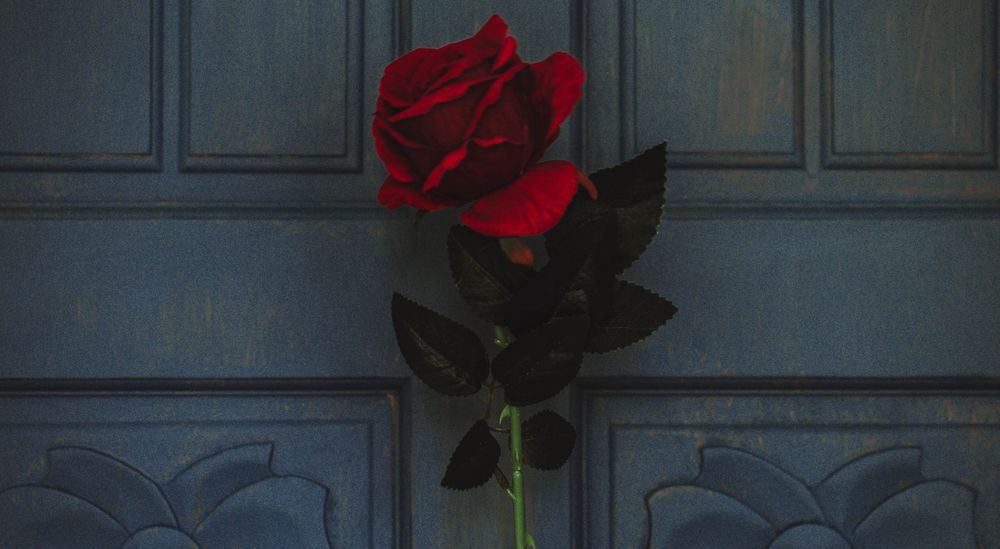 Обои для рабочего стола Красная роза на фоне двери, by Loverna Journey