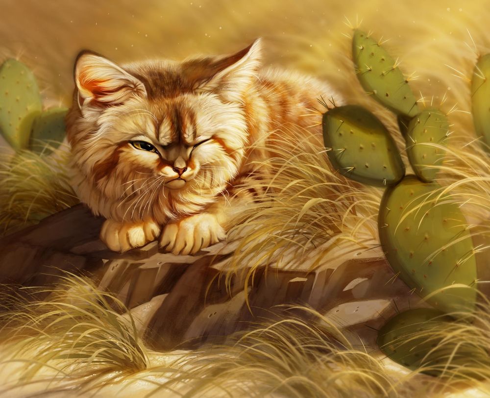 Обои для рабочего стола Пушистый кот смотрит на кактус, by Pixxus