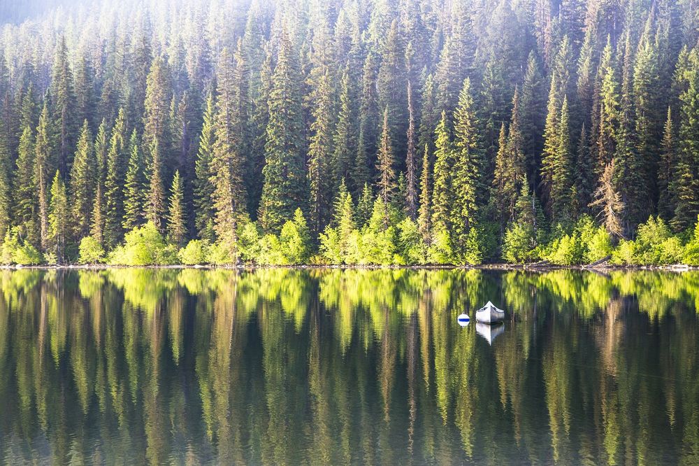 Обои для рабочего стола Лодка на воде, в которой отражается лес на берегу. by skeeze