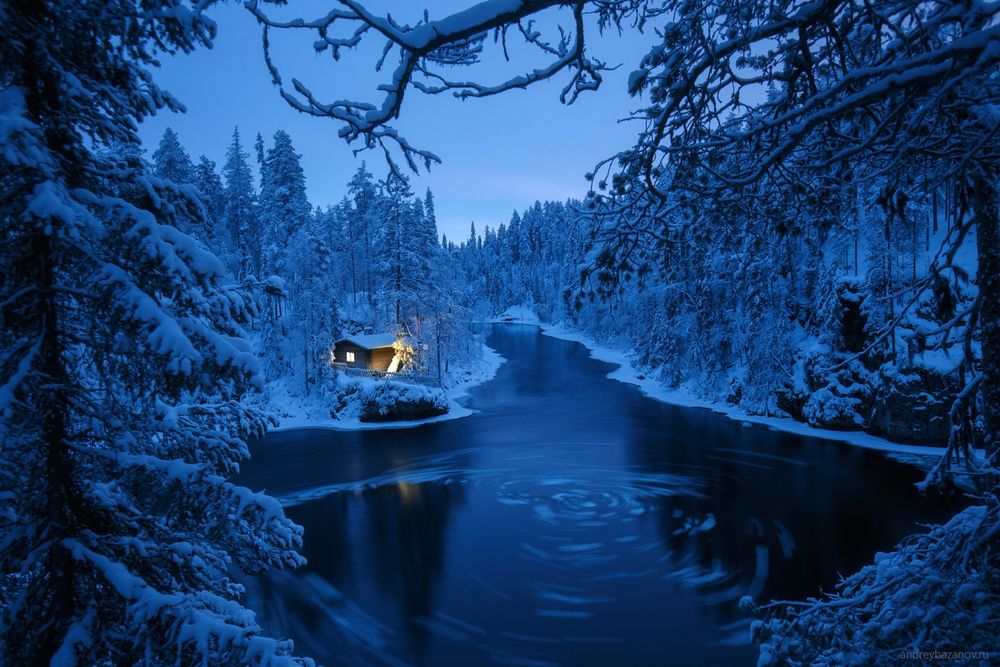 Фото домика в лесу у реки