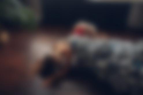 Обои на рабочий стол Девушка Полина Азарова на полу рядом с упавшей елкой, Фотограф Roma Roma