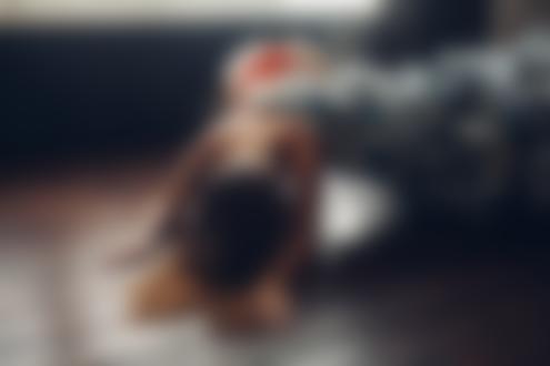 Обои на рабочий стол Девушка Полина Азарова на полу рядом с упавшей елкой. Фотограф Roma Roma