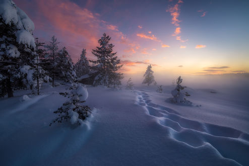 Обои на рабочий стол Зима на Ringerike, Norway / Рингерике, Норвегия, by Ole Henrik Skjelstad