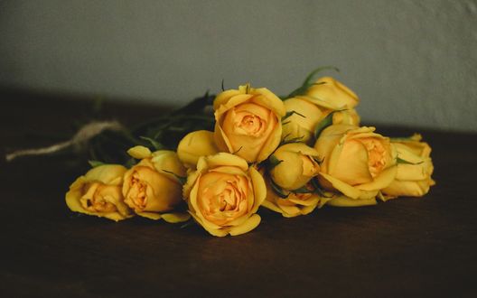 Обои на рабочий стол Желтыеи розы на полу, фотограф Debby Hudson