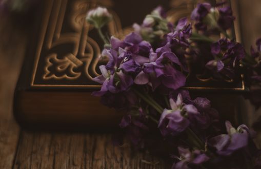 Обои на рабочий стол Сиреневые цветы на книге, by Carolyn V