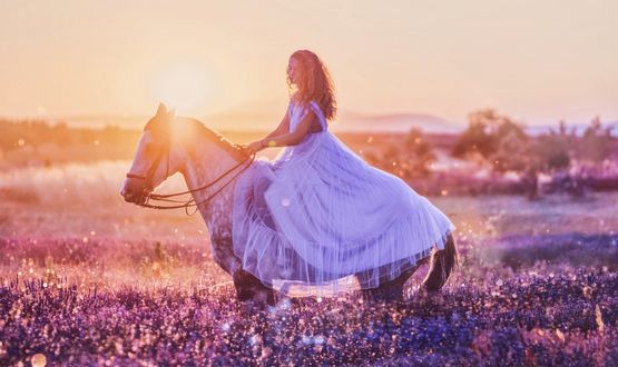 Обои на рабочий стол Девушка сидит на лошади на поле лаванды. Фотограф Kristina Makeeva