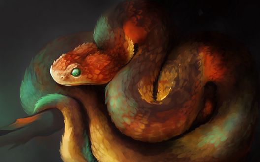 Обои на рабочий стол Змея с зелеными глазами, by Sofia Dissegna