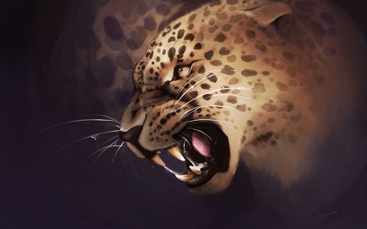 Обои на рабочий стол Злой леопард, by Sofia Dissegna