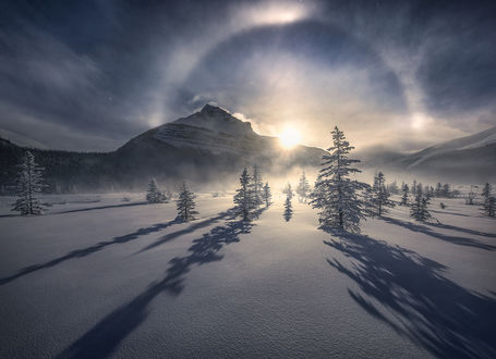 Обои на рабочий стол Зимний Jasper National Park / Национальный парк Джаспер, by Marc Adamus