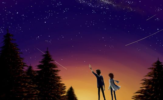 Обои на рабочий стол Парень с девушкой смотрят на ночное небе, by Surrender Comics