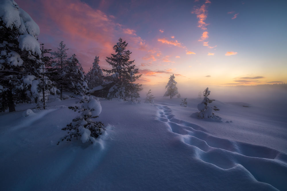 Обои для рабочего стола Зима на Ringerike, Norway / Рингерике, Норвегия, by Ole Henrik Skjelstad