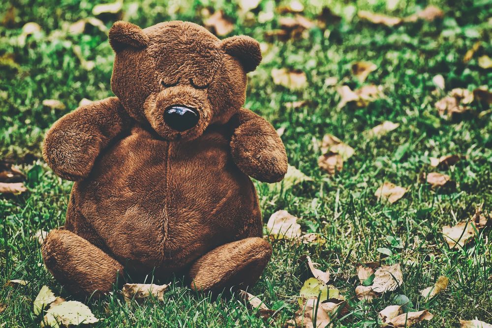 Обои для рабочего стола Коричневый плюшевый медвежонок сидит на траве на осенних листьях, by Alexas_Fotos