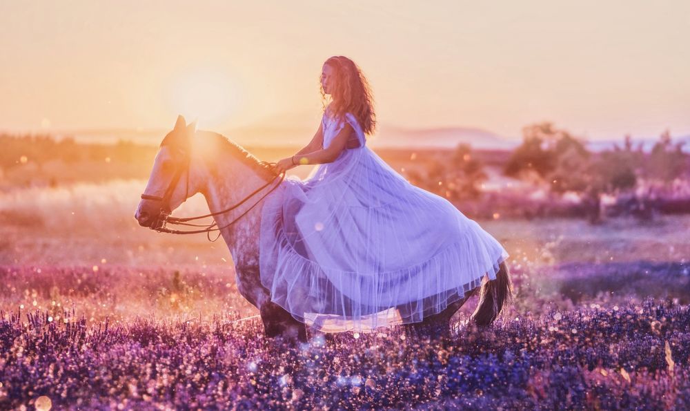 Обои для рабочего стола Девушка сидит на лошади на поле лаванды. Фотограф Kristina Makeeva