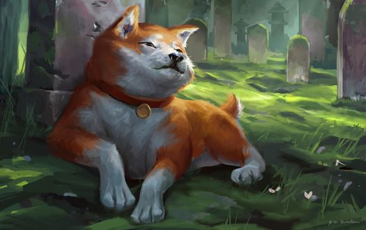 Обои на рабочий стол Пес лежит на траве, by Pandu Mahardika
