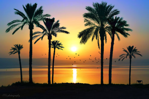 Обои на рабочий стол Закат на Lebanon Beach, Sea of Galilee, Israel / Ливанском пляже, Галилейское море, Израиль, by ITG photography