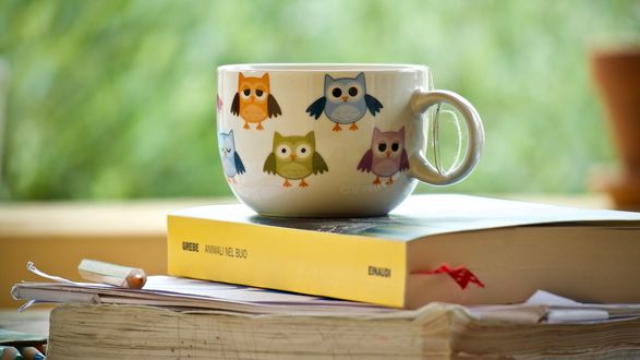 Обои на рабочий стол Чашка с нарисованными совами на ней стоит на книге