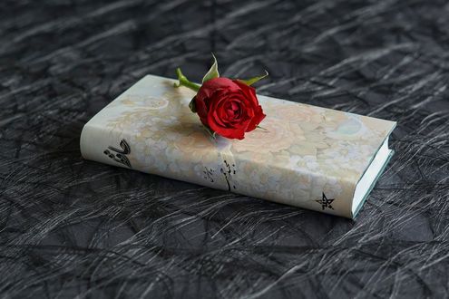 Обои на рабочий стол На книге лежит красная роза, by Lilo