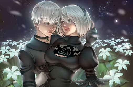 Обои на рабочий стол YoRHa №2 тип B и YoRHa №9 тип S из игры NieR: Automata