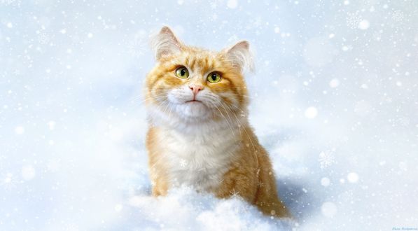 Обои на рабочий стол Рыжий котик в сугробе, by Elena Roslyakova