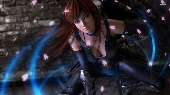 Обои на рабочий стол Девушка-боец Kasumi / Касуми из игры Dead or Alive