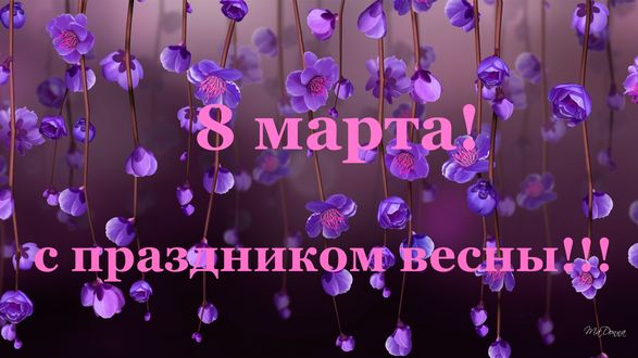 Обои на рабочий стол Весенние цветущие веточки, (8 марта, с праздником весны!)